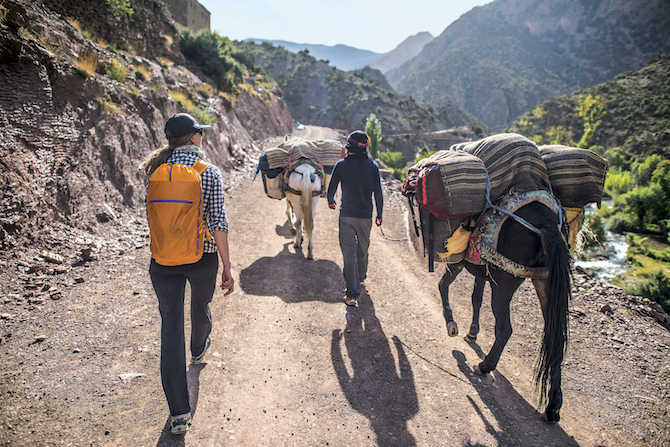 llightweight black hole bags