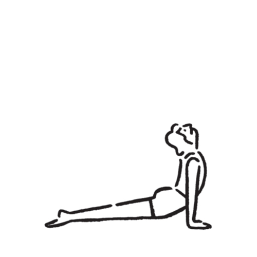 HOW TO START YOGA