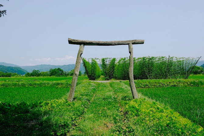 グルメライド in 岩手