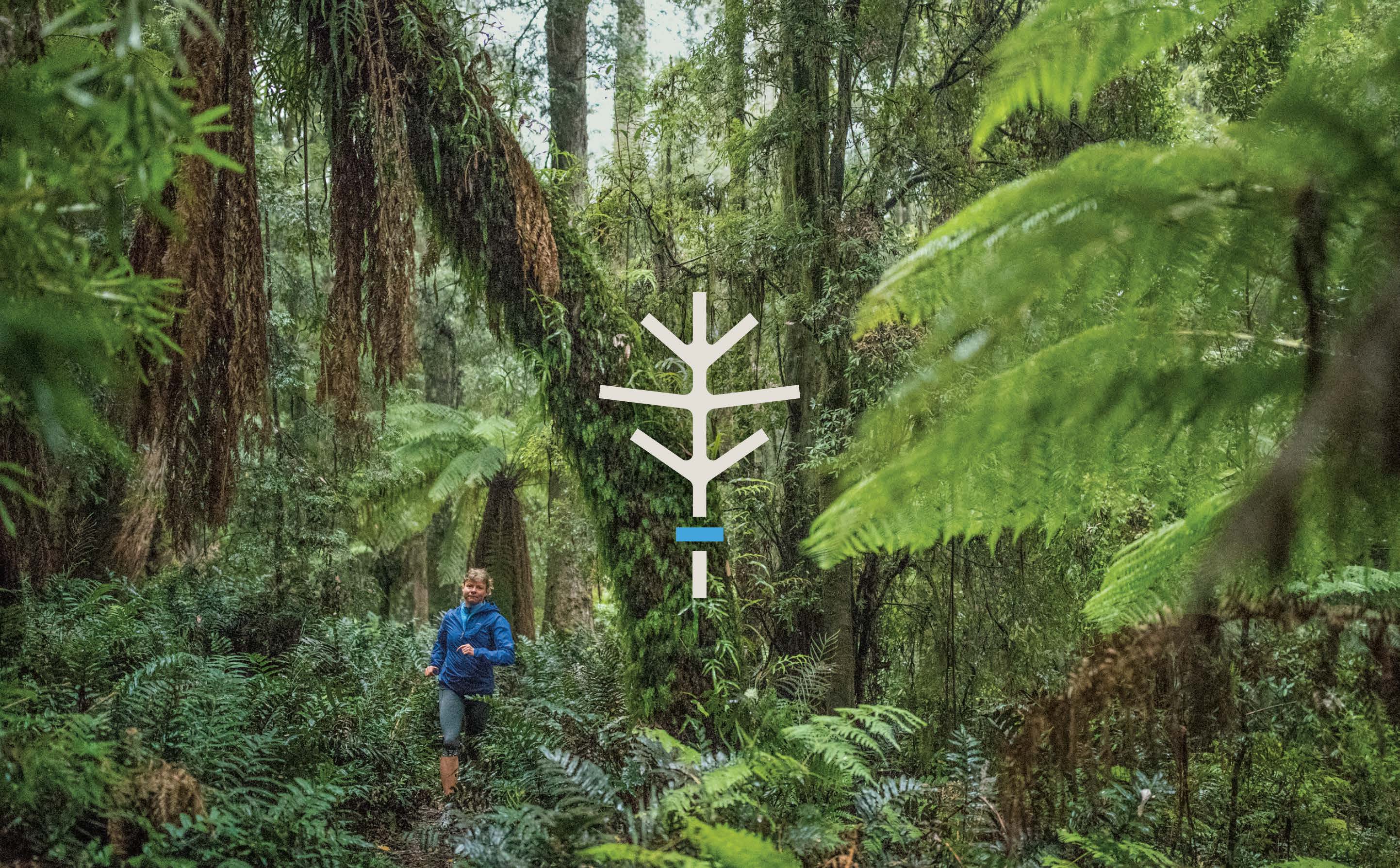 Patagonia パタゴニア