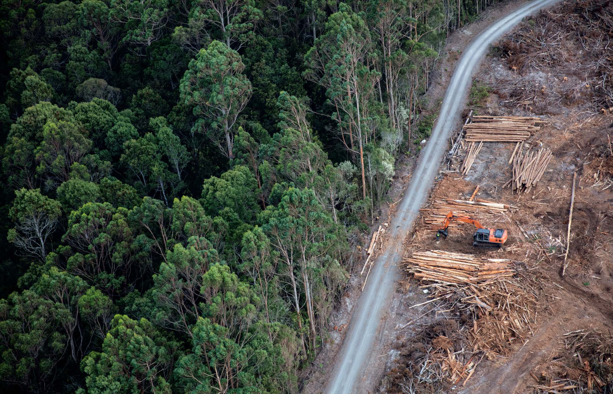 Patagonia パタゴニア